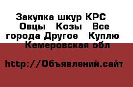 Закупка шкур КРС , Овцы , Козы - Все города Другое » Куплю   . Кемеровская обл.